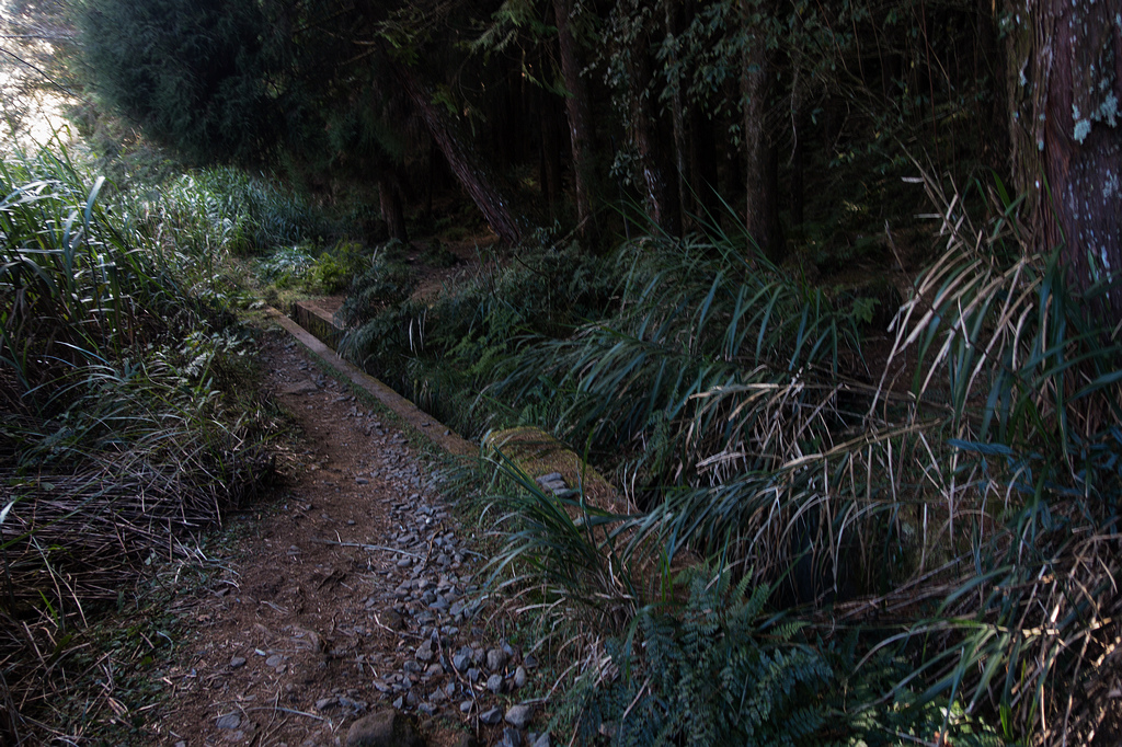 DSC03906.jpg DSC03906.jpg