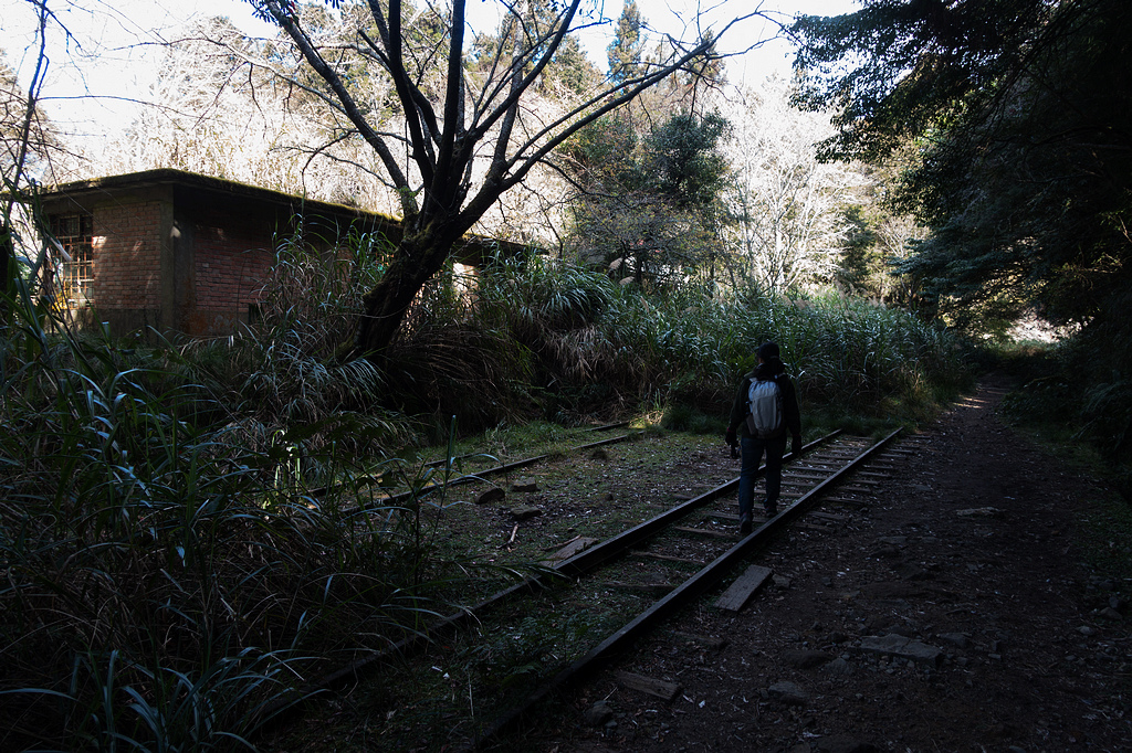 DSC03909.jpg DSC03909.jpg