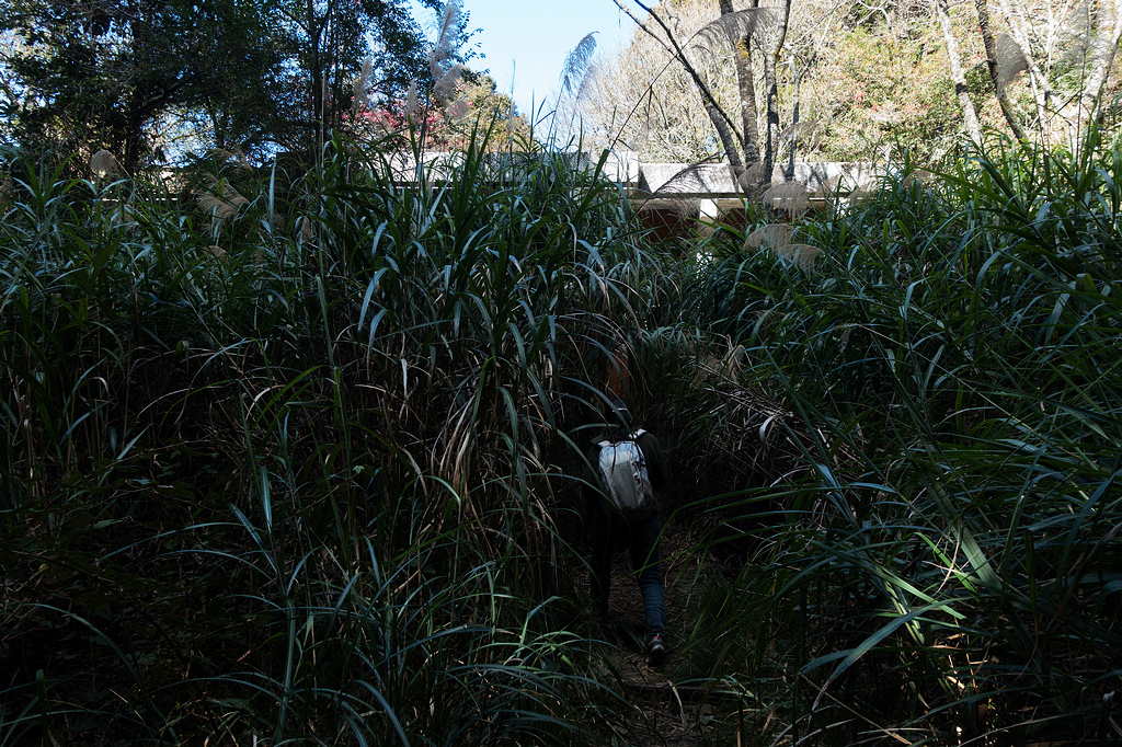 DSC03910.jpg DSC03910.jpg