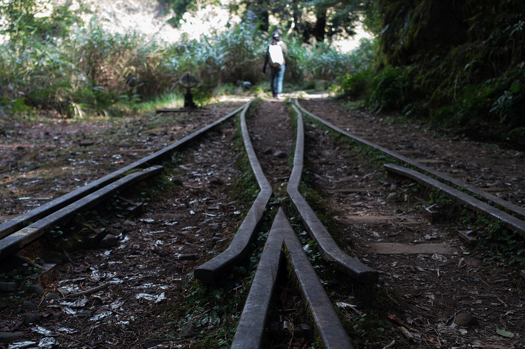 DSC03920.jpg DSC03920.jpg