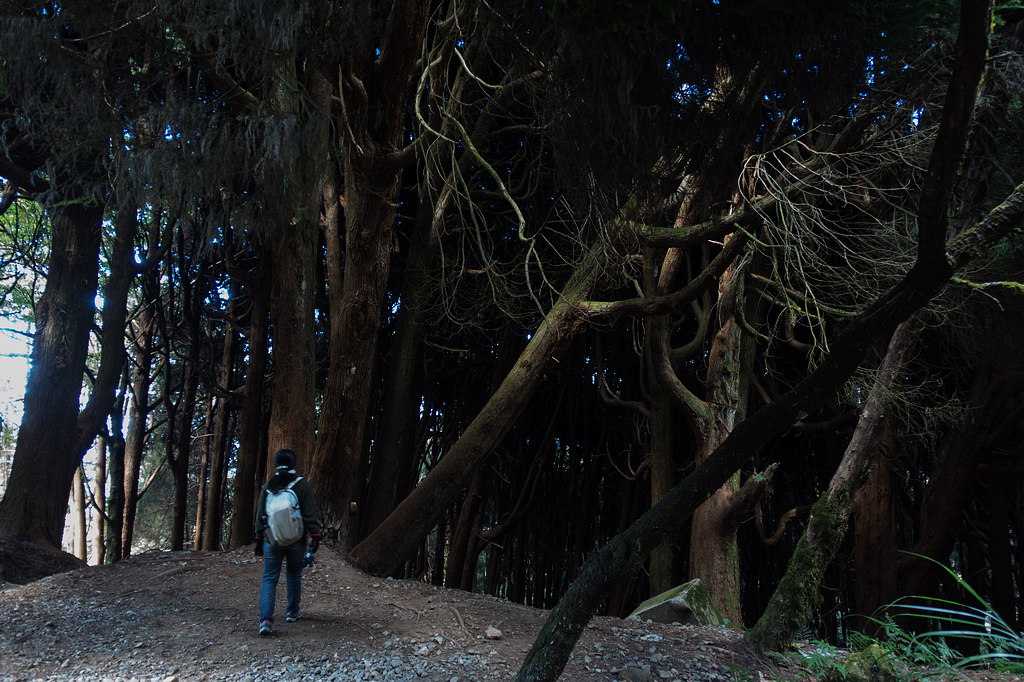 DSC03924.jpg DSC03924.jpg