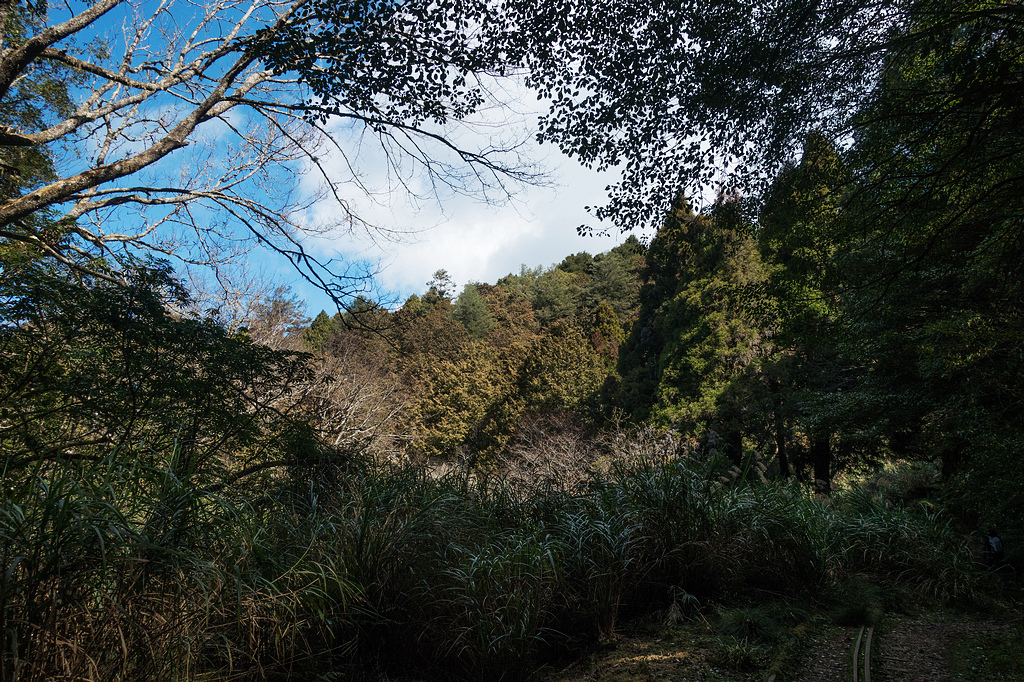 DSC03921.jpg DSC03921.jpg