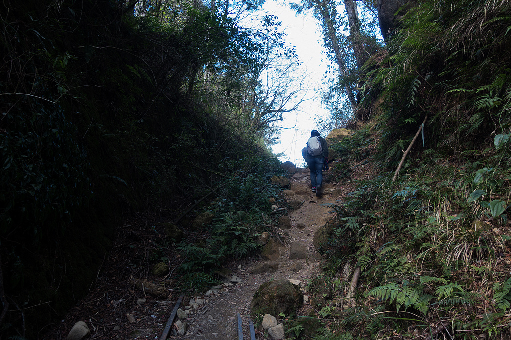 DSC03923.jpg DSC03923.jpg