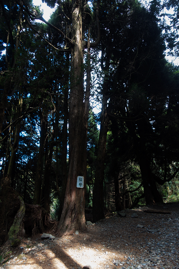 DSC03925.jpg DSC03925.jpg