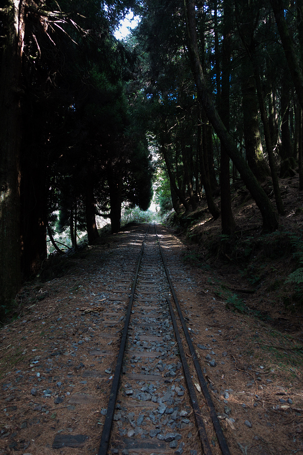 DSC03928.jpg DSC03928.jpg