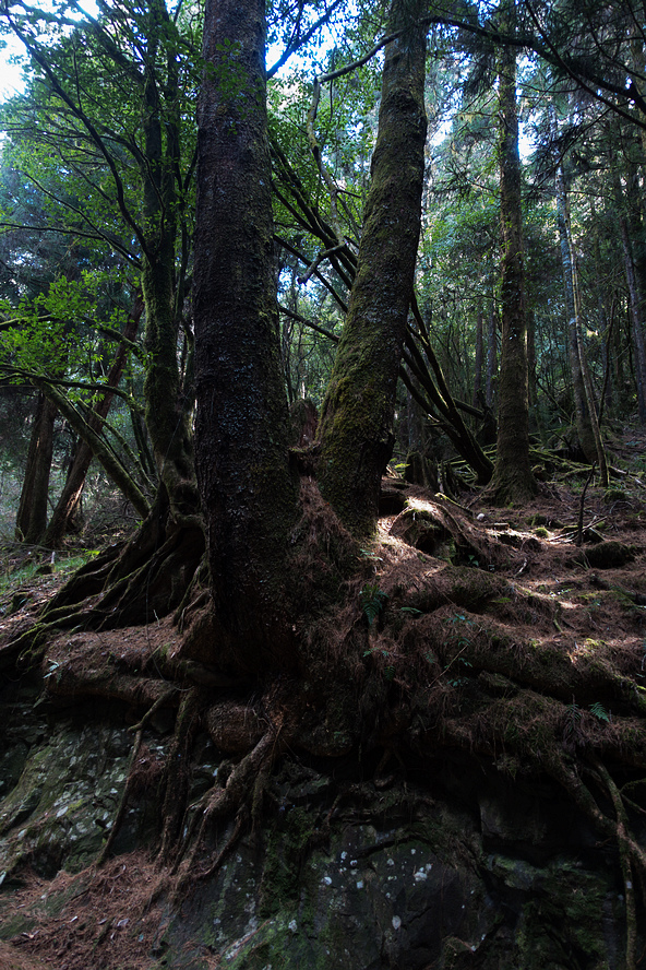 DSC03929.jpg DSC03929.jpg