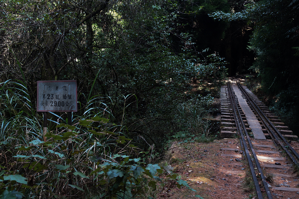 DSC03926.jpg DSC03926.jpg