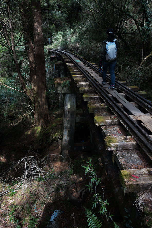 DSC03931.jpg DSC03931.jpg