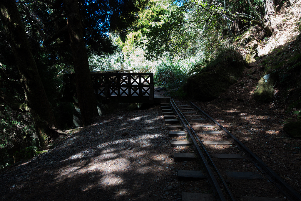 DSC03944.jpg DSC03944.jpg