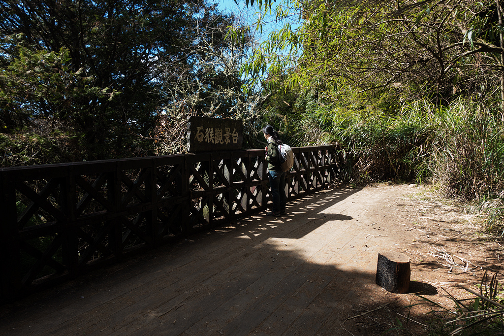 DSC03945.jpg DSC03945.jpg