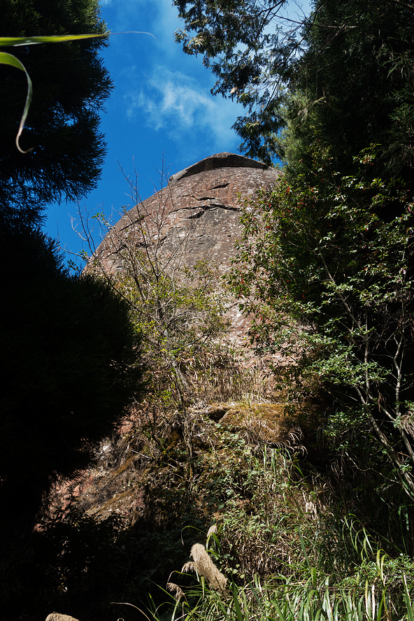 DSC03947.jpg DSC03947.jpg