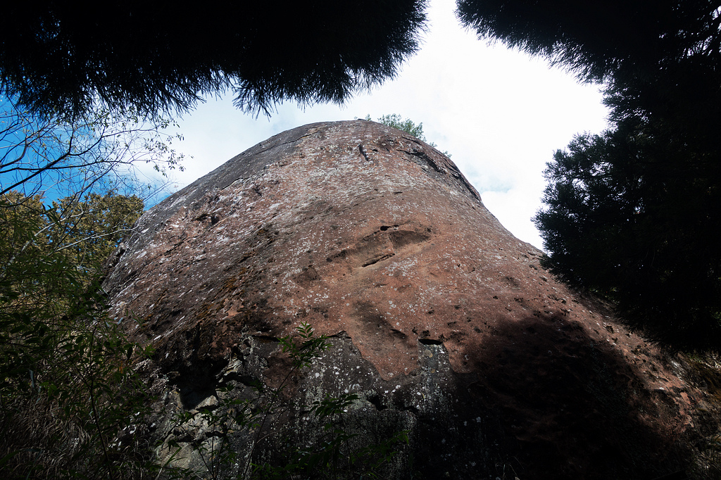 DSC03954.jpg DSC03954.jpg