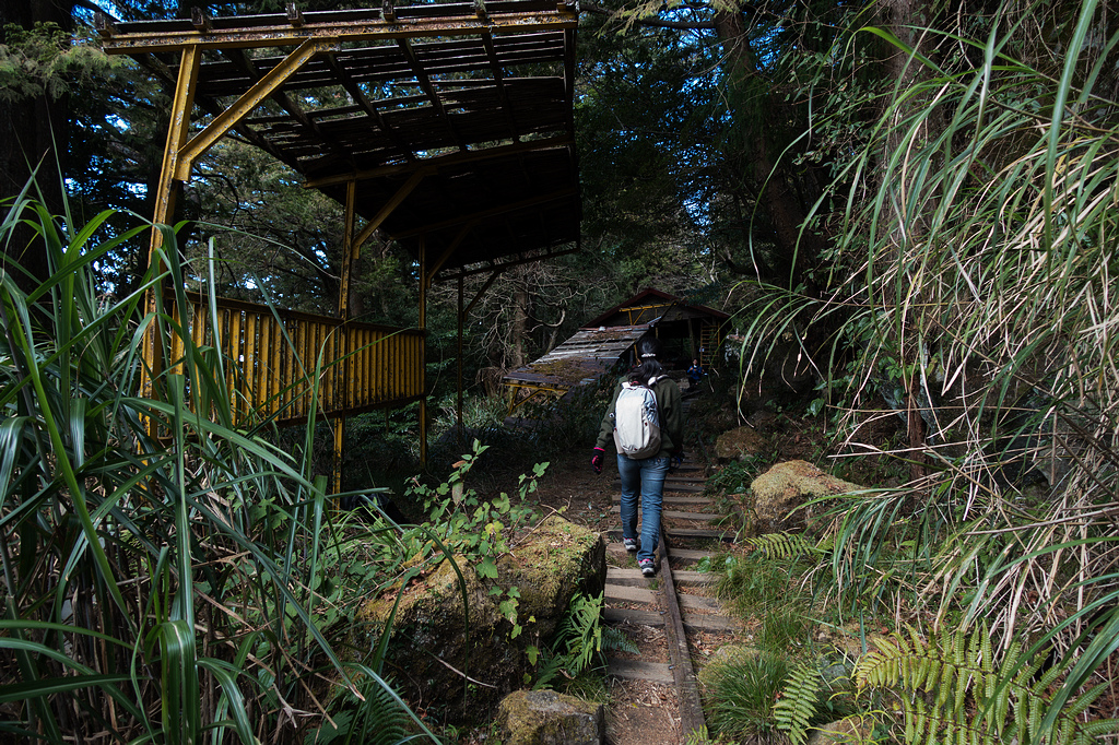 DSC03955.jpg DSC03955.jpg