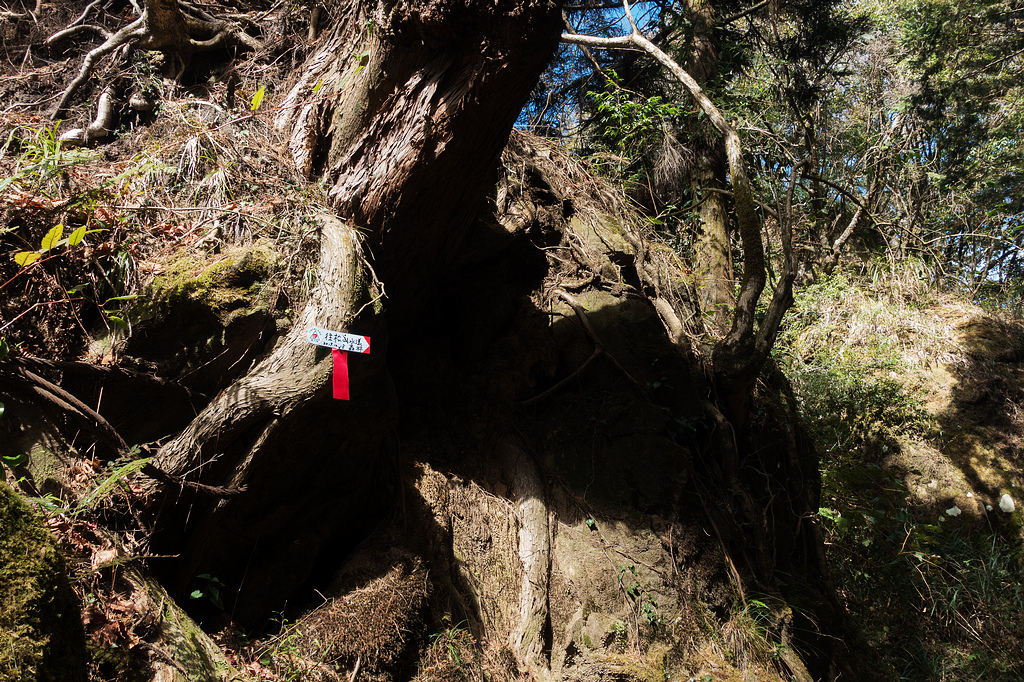 DSC03972.jpg DSC03972.jpg