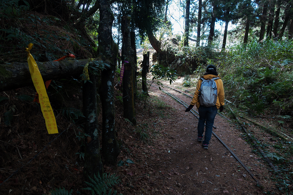 DSC03973.jpg DSC03973.jpg