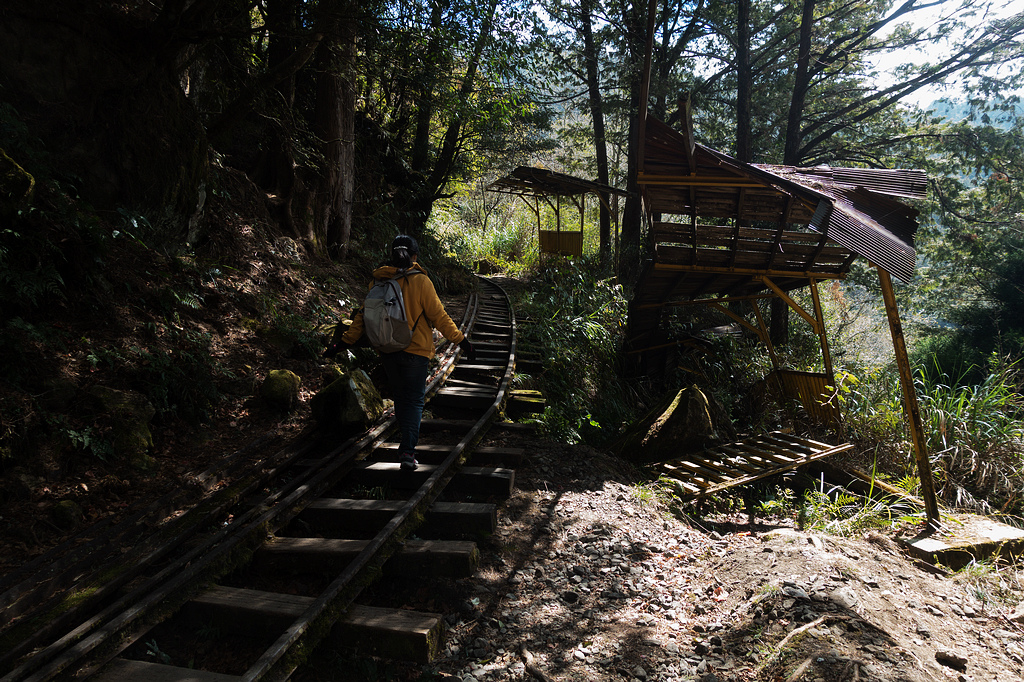 DSC03984.jpg DSC03984.jpg