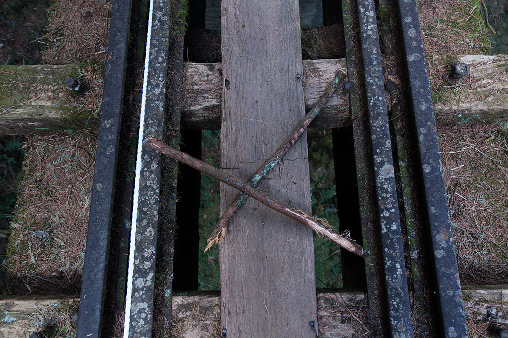 DSC03999.jpg DSC03999.jpg