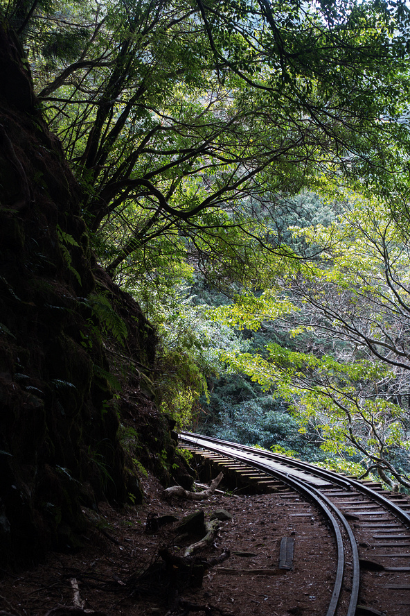 DSC04001.jpg DSC04001.jpg