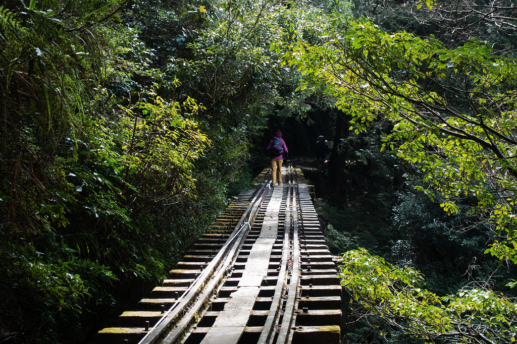 DSC04002.jpg DSC04002.jpg