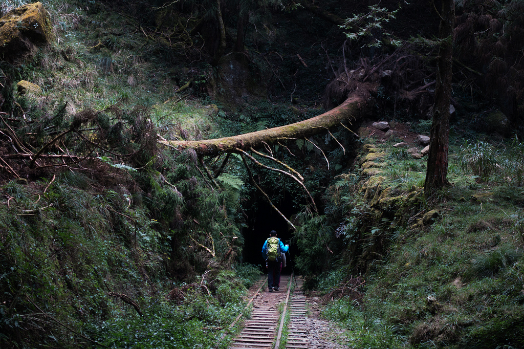 DSC04003.jpg DSC04003.jpg