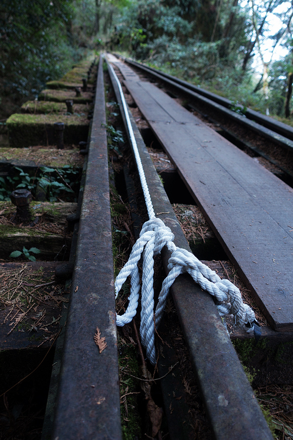 DSC04011.jpg DSC04011.jpg