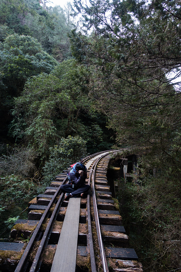 DSC04009.jpg DSC04009.jpg