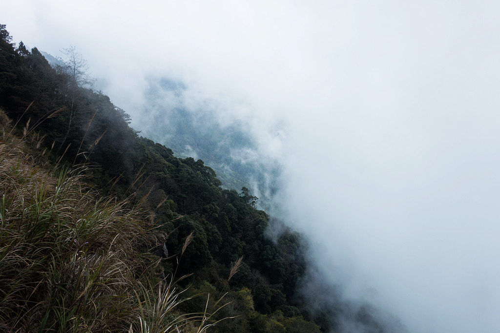 DSC04014.jpg DSC04014.jpg