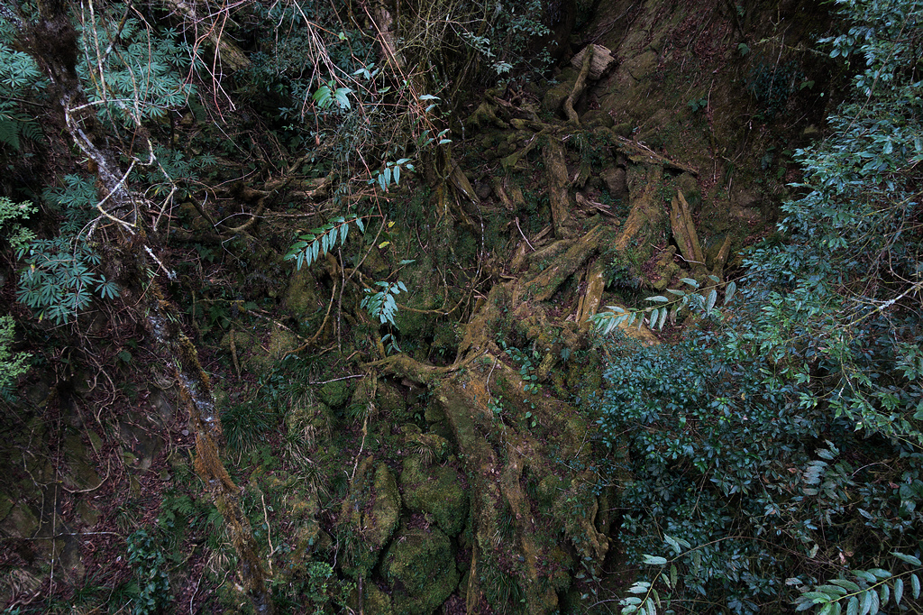 DSC04012.jpg DSC04012.jpg