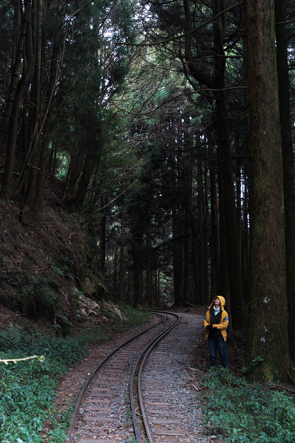 DSC04024.jpg DSC04024.jpg