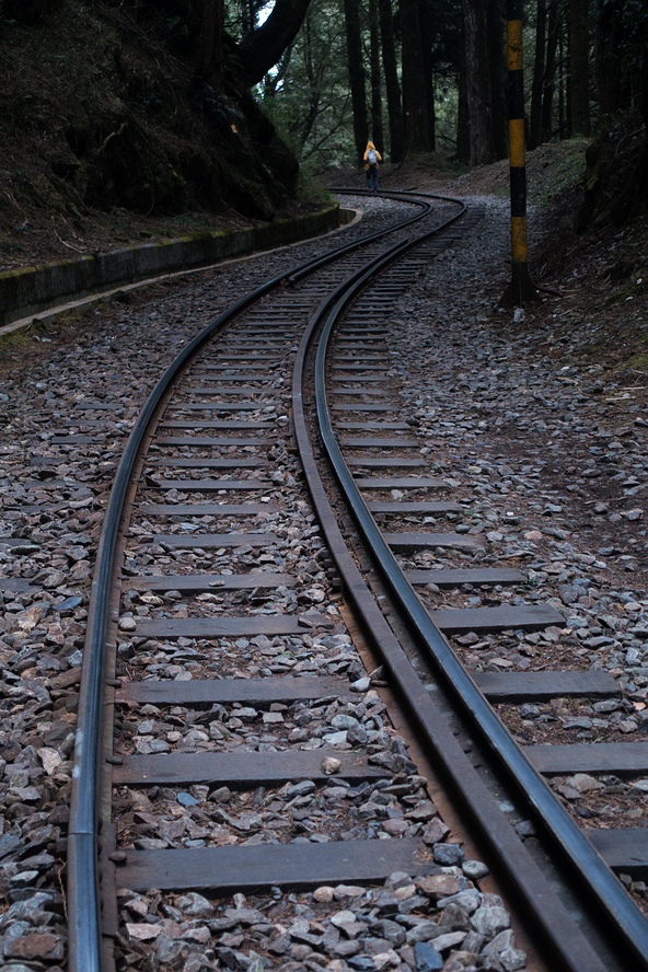 DSC04032.jpg DSC04032.jpg