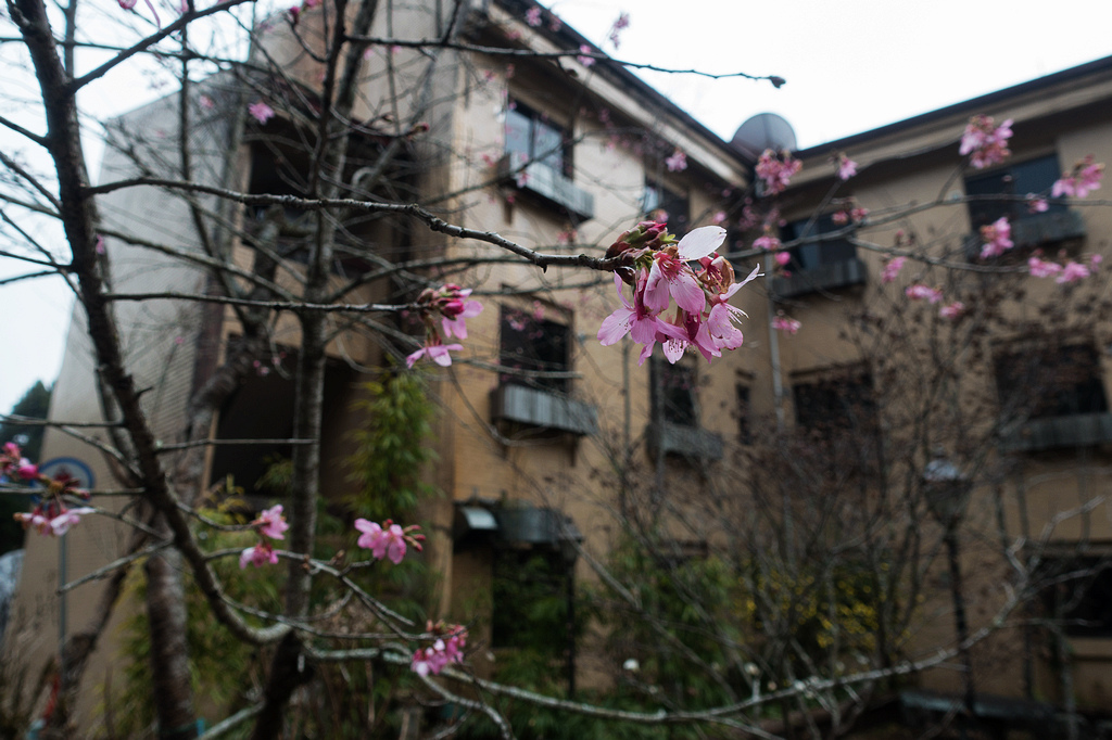 DSC04041.jpg DSC04041.jpg