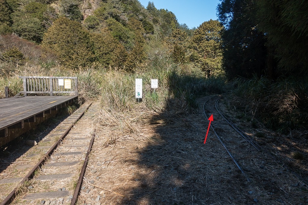 DSC03775.jpg DSC03775.jpg