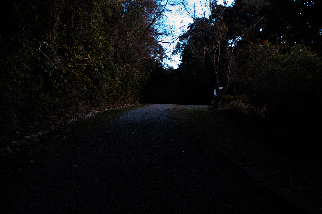 DSC04201.jpg DSC04201.jpg