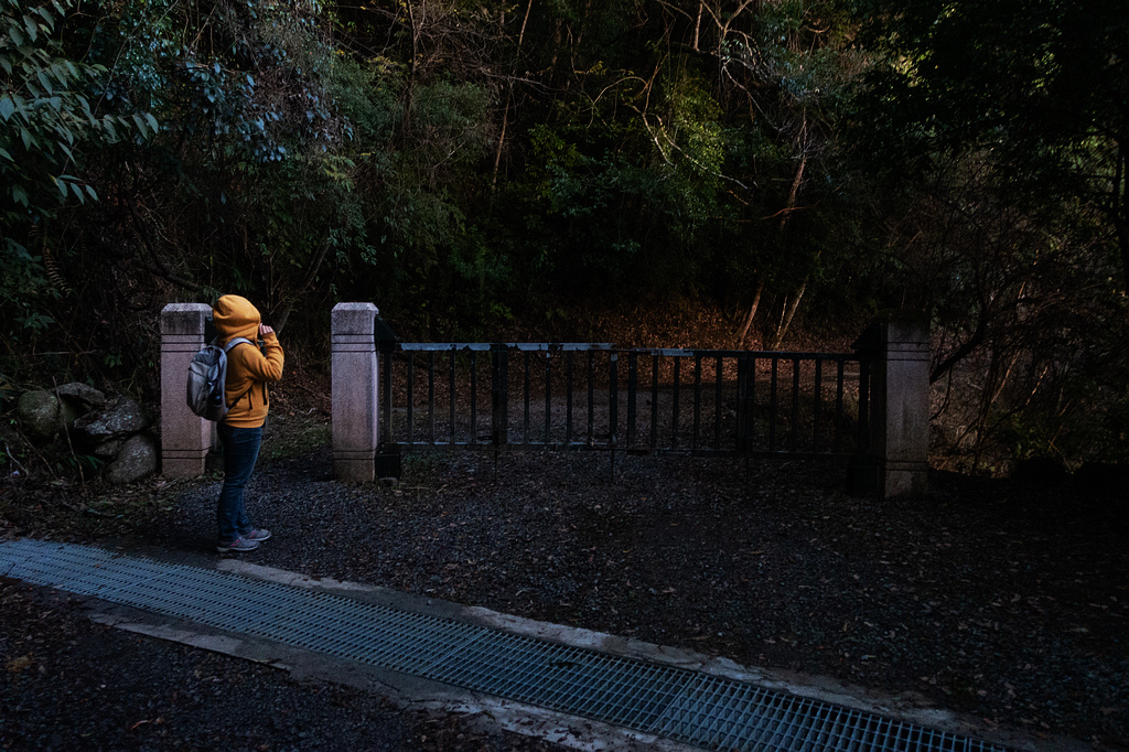 DSC04203.jpg DSC04203.jpg