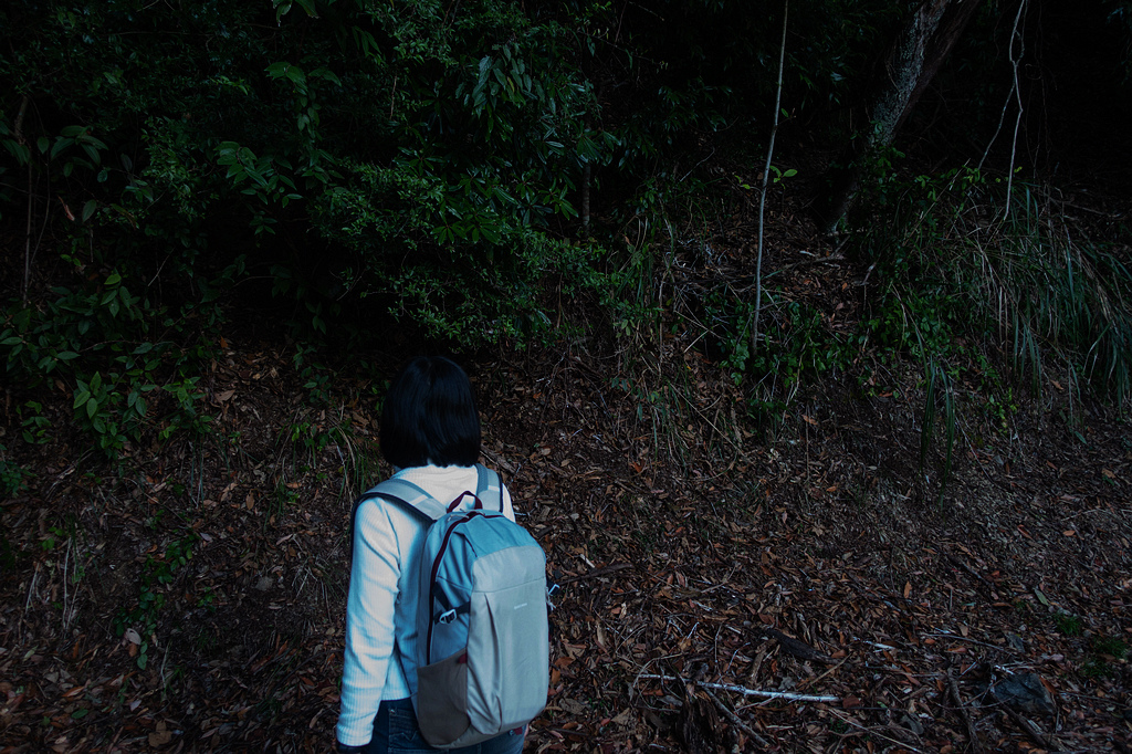 DSC04212.jpg DSC04212.jpg