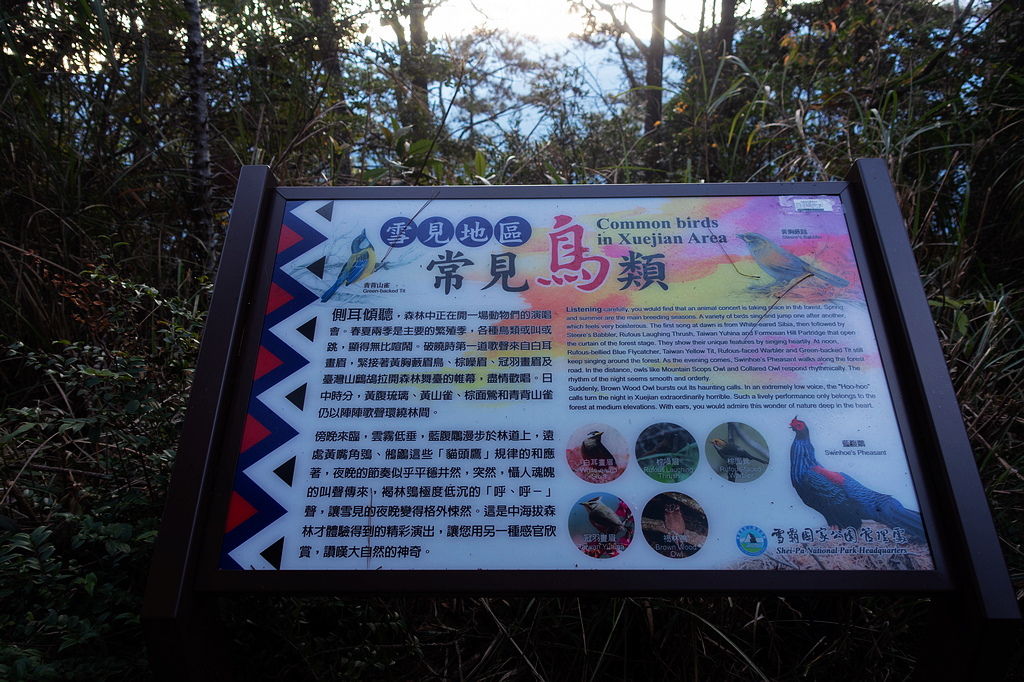 DSC04228.jpg DSC04228.jpg