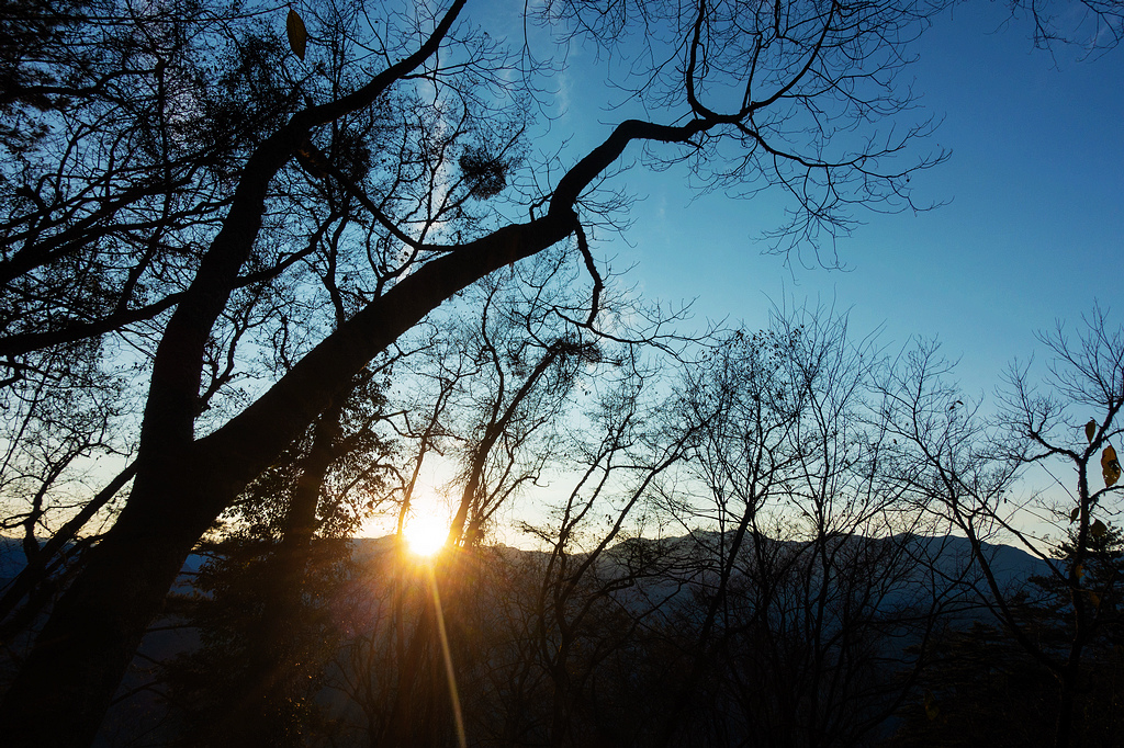 DSC04232.jpg DSC04232.jpg