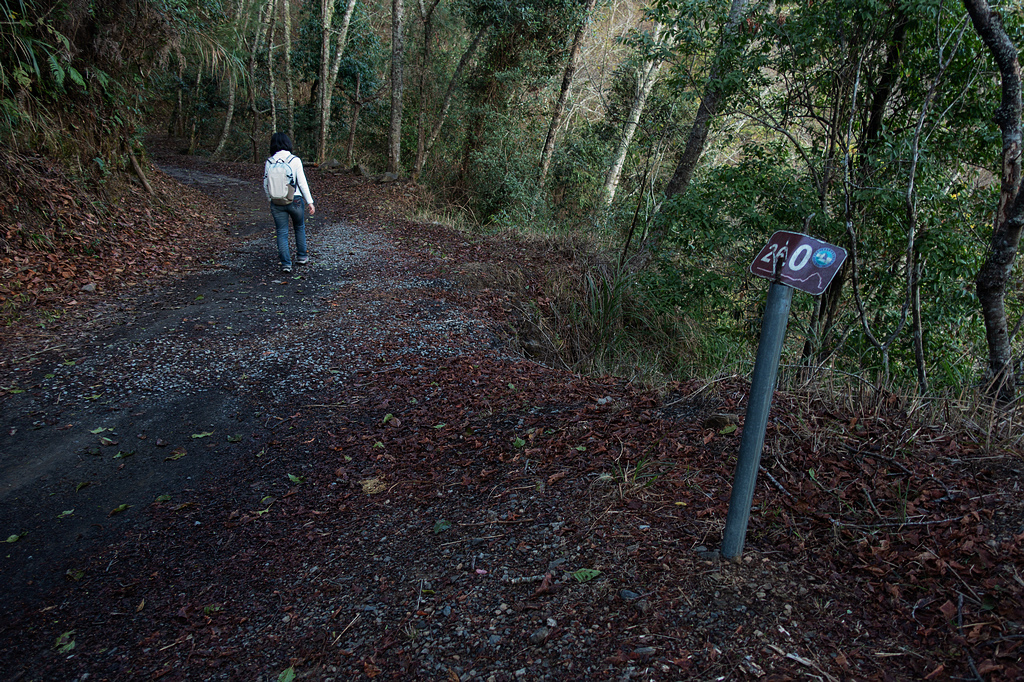 DSC04230.jpg DSC04230.jpg