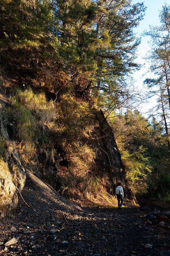 DSC04239.jpg DSC04239.jpg