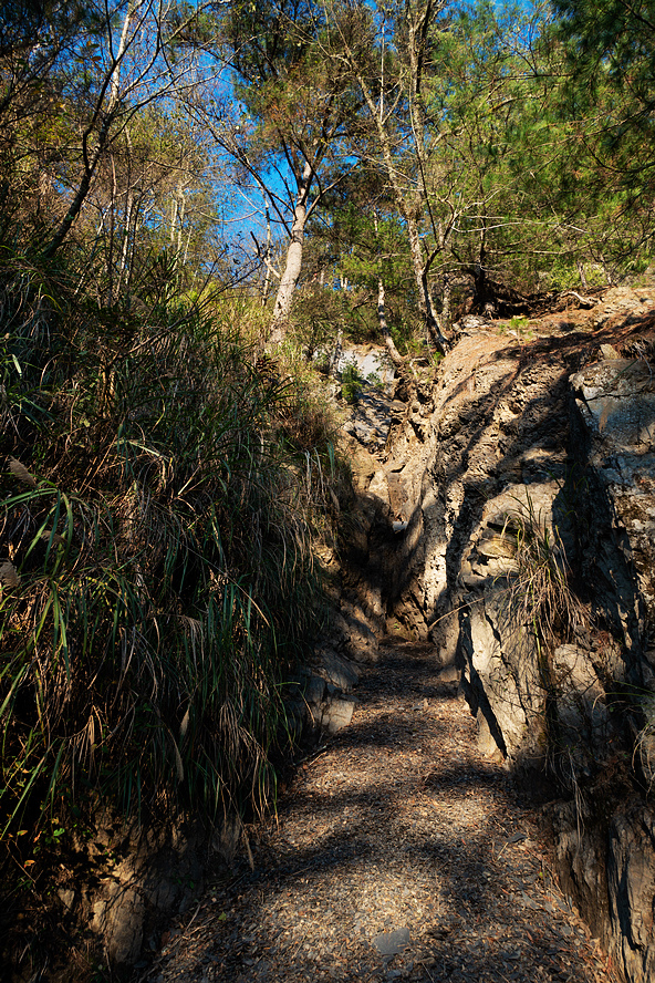 DSC04238.jpg DSC04238.jpg