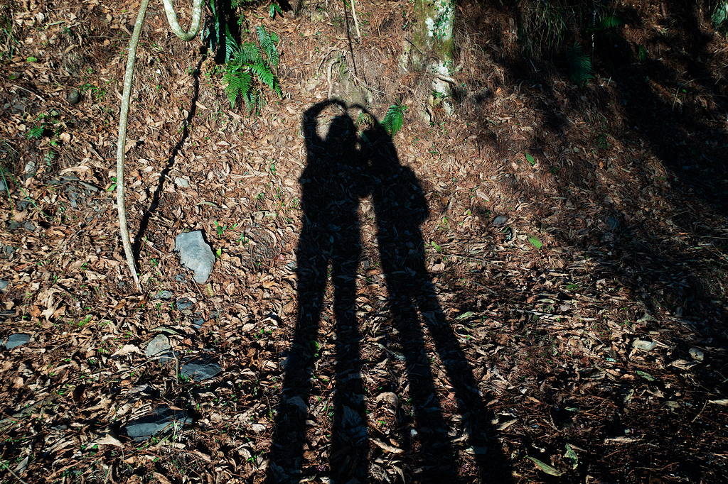 DSC04236.jpg DSC04236.jpg