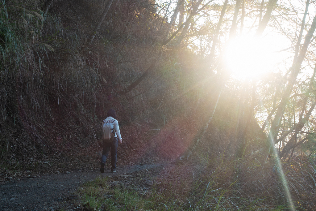 DSC04240.jpg DSC04240.jpg