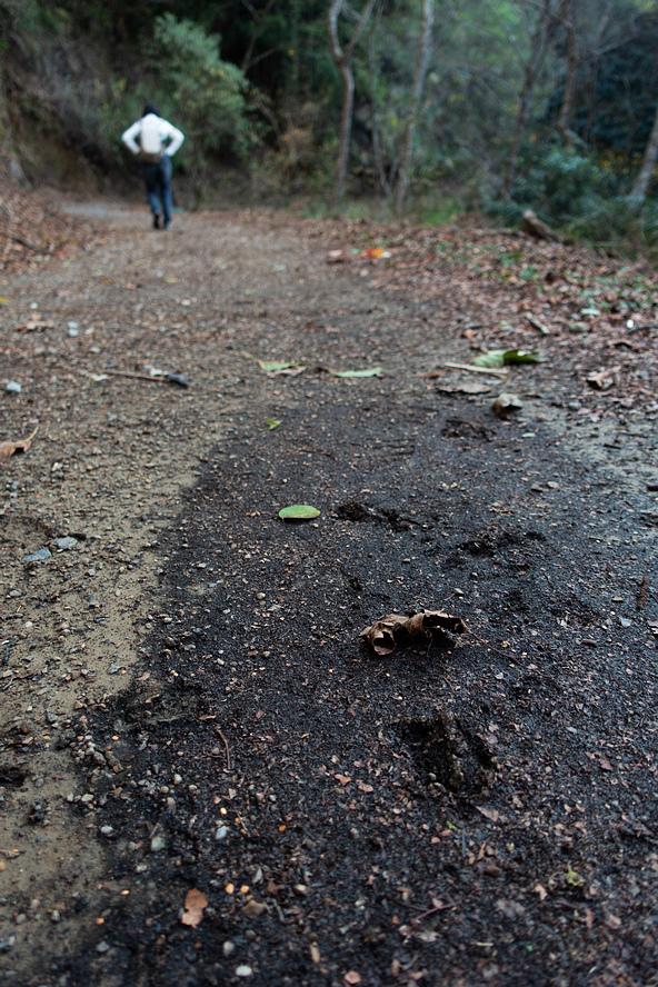 DSC04243.jpg DSC04243.jpg