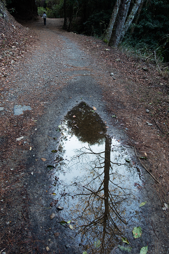 DSC04256.jpg DSC04256.jpg