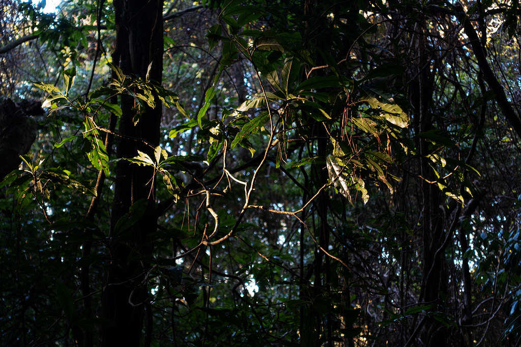 DSC04255.jpg DSC04255.jpg