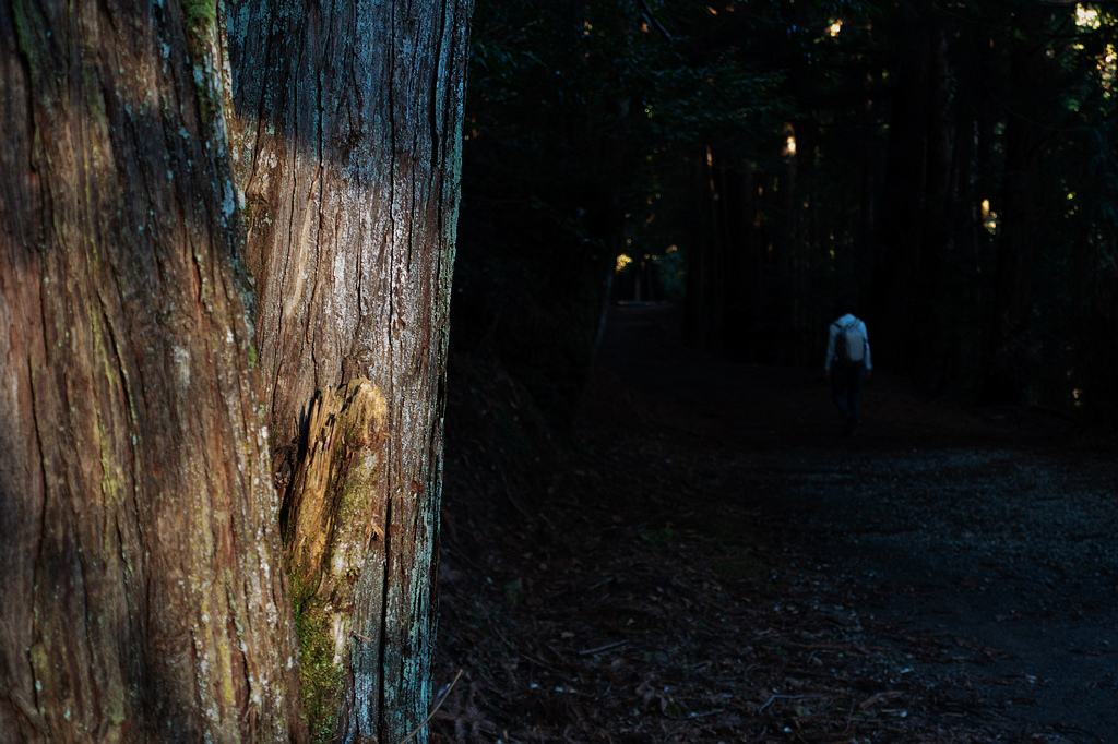 DSC04260.jpg DSC04260.jpg