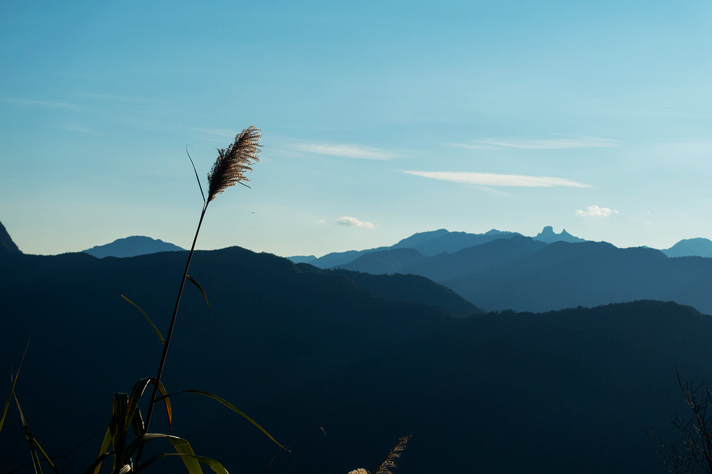 DSC04271.jpg DSC04271.jpg