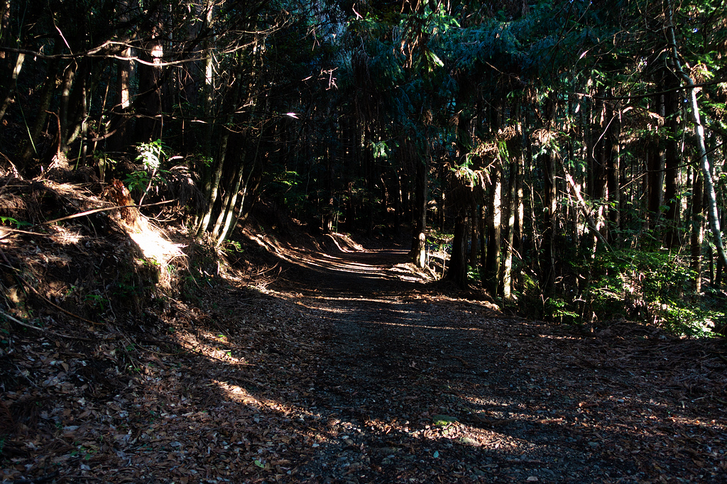 DSC04268.jpg DSC04268.jpg