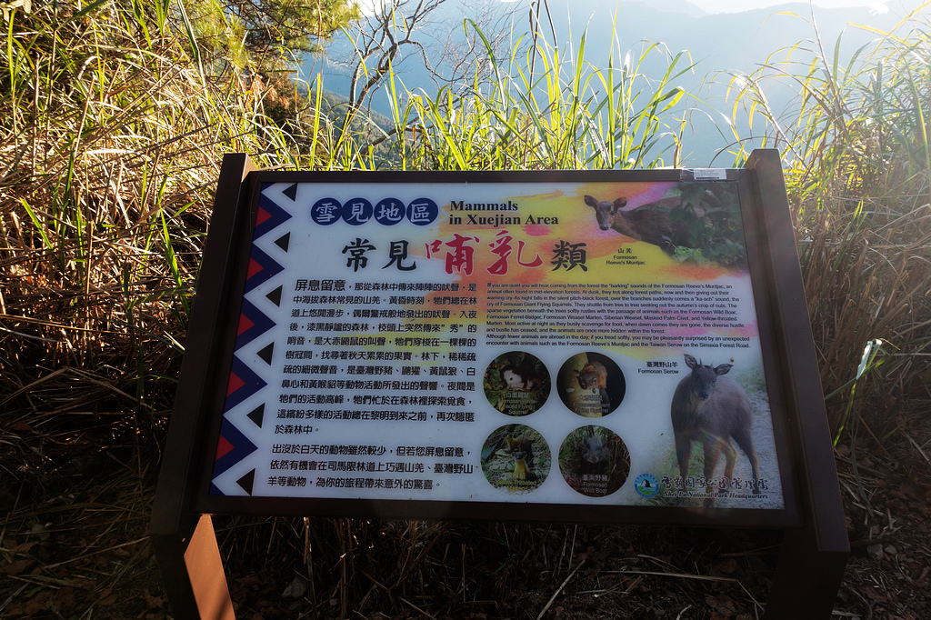 DSC04273.jpg DSC04273.jpg