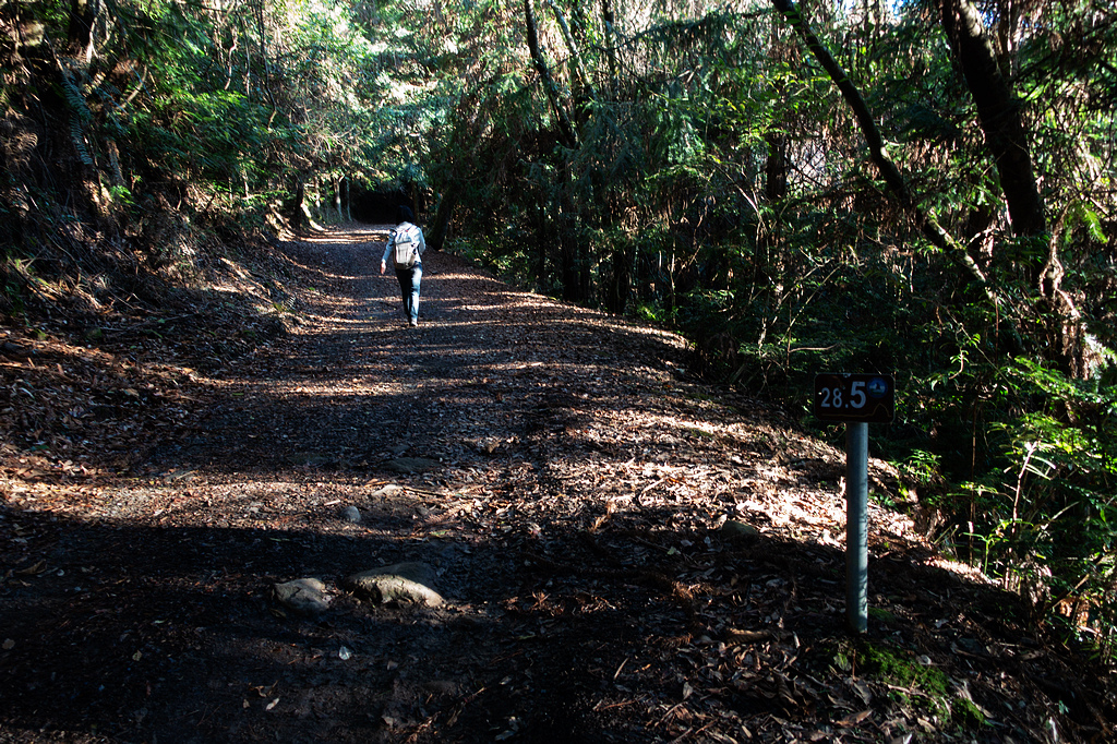 DSC04279.jpg DSC04279.jpg